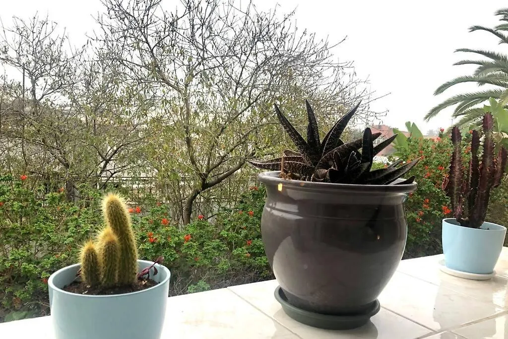 The Cactus House Apartment Casablanca