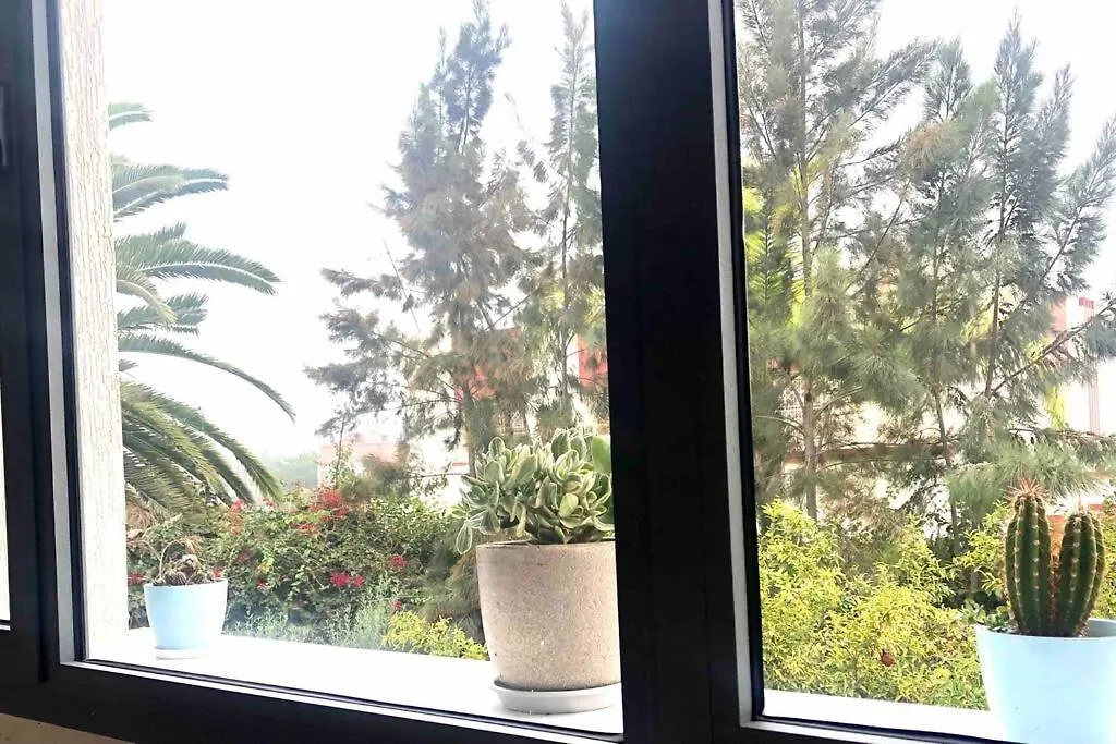 The Cactus House Apartment Casablanca 0*,  Morocco